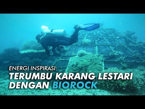 Energi Inspirasi : Biorock, Kontribusi Pelestarian Terumbu Karang