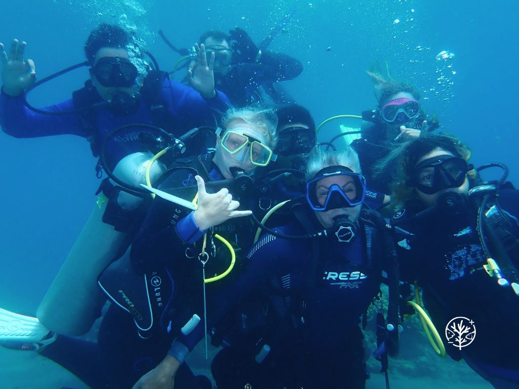 Biorock Experience - Diving Group