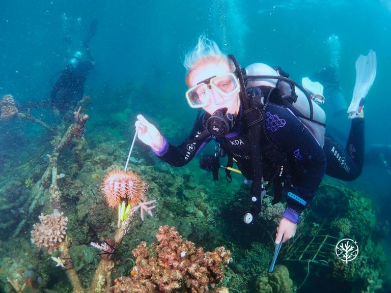 Biorock Experience - Monthly Internship Package