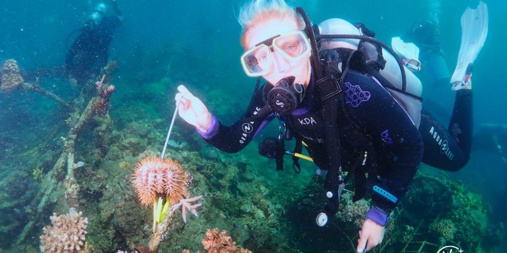 Biorock Experience - Monthly Internship Package